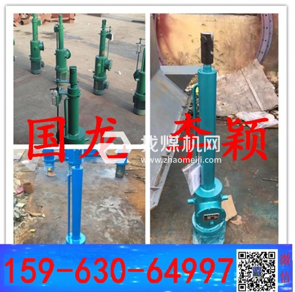 國龍-電液動推桿DYTZ2000-1400； DYTZ500-300相看兩不厭